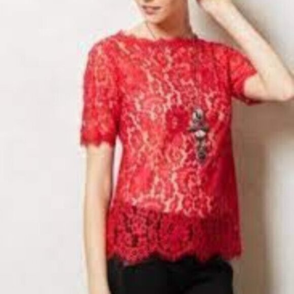 Anthropologie Vanessa Virginia Lace Top Elysian - Picture 4 of 4